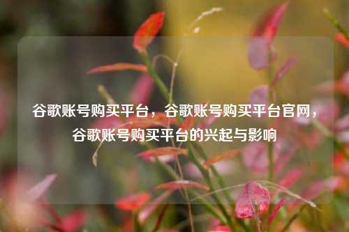 谷歌账号购买平台，谷歌账号购买平台官网，谷歌账号购买平台的兴起与影响