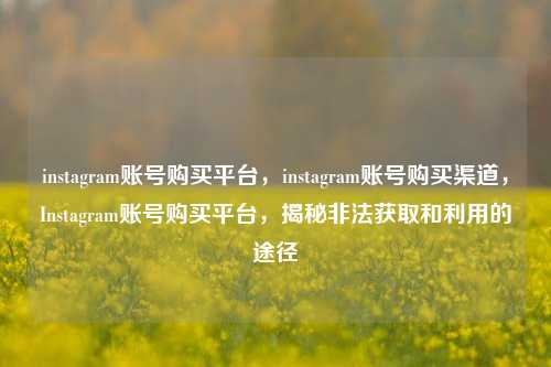 instagram账号购买平台，instagram账号购买渠道，Instagram账号购买平台，揭秘非法获取和利用的途径
