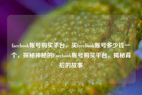 facebook帐号购买平台，买facebook账号多少钱一个，探秘神秘的Facebook帐号购买平台，揭秘背后的故事