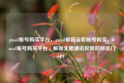 gmail账号购买平台，gmail邮箱谷歌账号购买，Gmail账号购买平台，解锁无限通讯权限的秘密门户