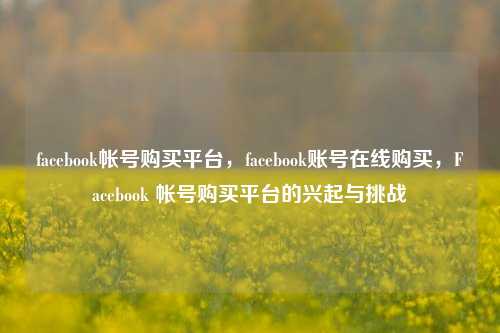 facebook帐号购买平台，facebook账号在线购买，Facebook 帐号购买平台的兴起与挑战