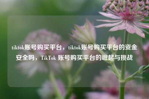 tiktok账号购买平台，tiktok账号购买平台的资金安全吗，TikTok 账号购买平台的崛起与挑战