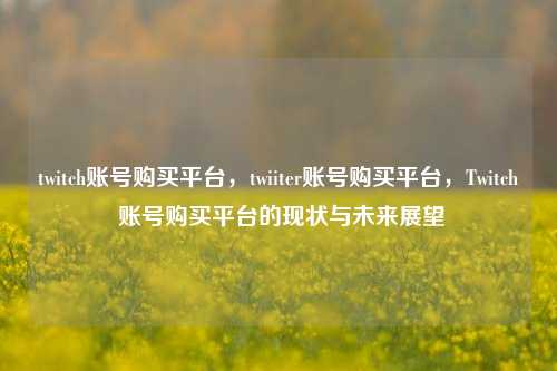 twitch账号购买平台，twiiter账号购买平台，Twitch 账号购买平台的现状与未来展望