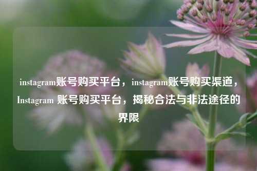 instagram账号购买平台，instagram账号购买渠道，Instagram 账号购买平台，揭秘合法与非法途径的界限