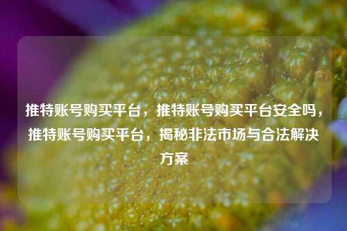 推特账号购买平台，推特账号购买平台安全吗，推特账号购买平台，揭秘非法市场与合法解决方案