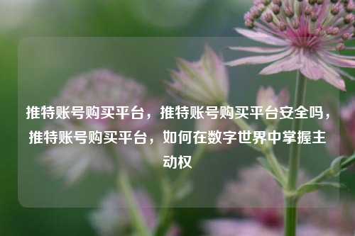 推特账号购买平台，推特账号购买平台安全吗，推特账号购买平台，如何在数字世界中掌握主动权