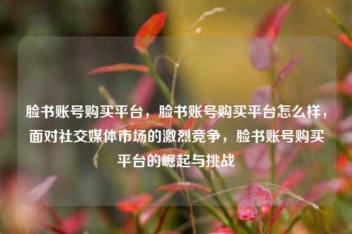 脸书账号购买平台，脸书账号购买平台怎么样，面对社交媒体市场的激烈竞争，脸书账号购买平台的崛起与挑战