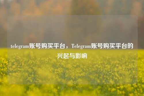 telegram账号购买平台，Telegram账号购买平台的兴起与影响