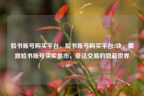 脸书账号购买平台，脸书账号购买平台2块，揭露脸书账号买卖黑市，非法交易的隐蔽世界