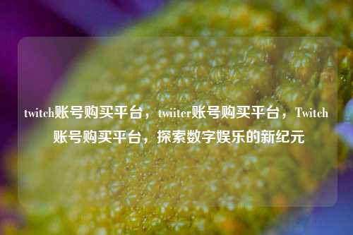 twitch账号购买平台，twiiter账号购买平台，Twitch 账号购买平台，探索数字娱乐的新纪元