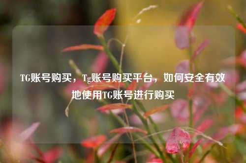 TG账号购买，Tg账号购买平台，如何安全有效地使用TG账号进行购买