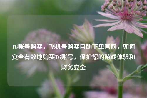 TG账号购买，飞机号购买自助下单官网，如何安全有效地购买TG账号，保护您的游戏体验和财务安全