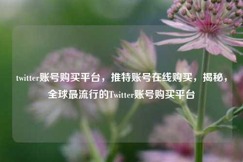 twitter账号购买平台，推特账号在线购买，揭秘，全球最流行的Twitter账号购买平台