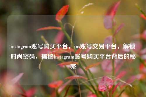 instagram账号购买平台，ins账号交易平台，解锁时尚密码，揭秘Instagram账号购买平台背后的秘密