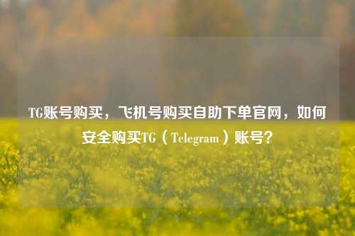 TG账号购买，飞机号购买自助下单官网，如何安全购买TG（Telegram）账号？