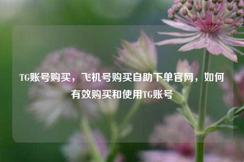 TG账号购买，飞机号购买自助下单官网，如何有效购买和使用TG账号