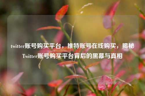 twitter账号购买平台，推特账号在线购买，揭秘Twitter账号购买平台背后的黑幕与真相