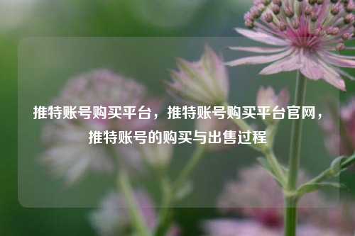 推特账号购买平台，推特账号购买平台官网，推特账号的购买与出售过程