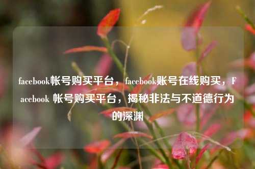 facebook帐号购买平台，facebook账号在线购买，Facebook 帐号购买平台，揭秘非法与不道德行为的深渊