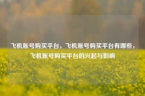 飞机账号购买平台，飞机账号购买平台有哪些，飞机账号购买平台的兴起与影响