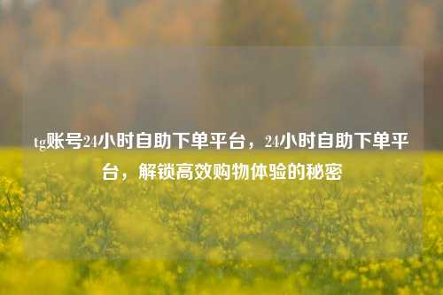tg账号24小时自助下单平台，24小时自助下单平台，解锁高效购物体验的秘密