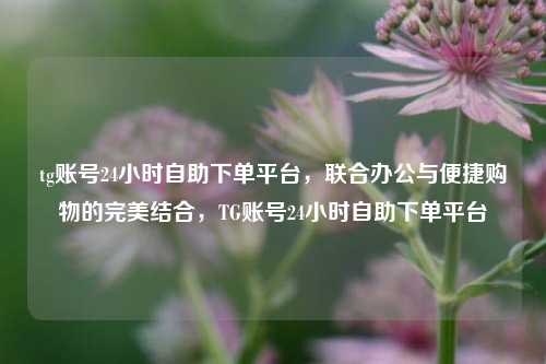 tg账号24小时自助下单平台，联合办公与便捷购物的完美结合，TG账号24小时自助下单平台