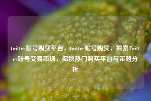 twitter账号购买平台，twitter帐号购买，探索Twitter账号交易市场，揭秘热门购买平台与策略分析