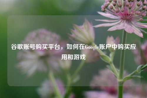 谷歌账号购买平台，如何在Google账户中购买应用和游戏  第1张