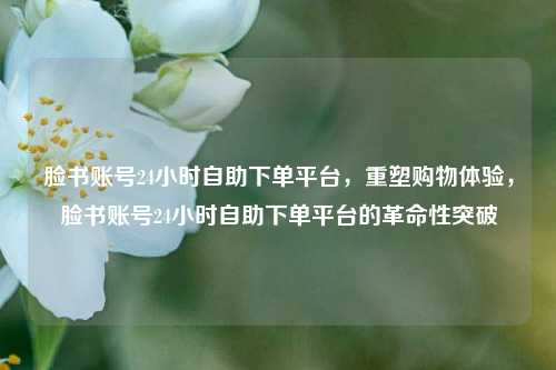 脸书账号24小时自助下单平台，重塑购物体验，脸书账号24小时自助下单平台的革命性突破