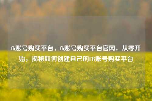 fb账号购买平台，fb账号购买平台官网，从零开始，揭秘如何创建自己的FB账号购买平台