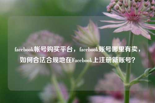 facebook帐号购买平台，facebook账号哪里有卖，如何合法合规地在Facebook上注册新账号？