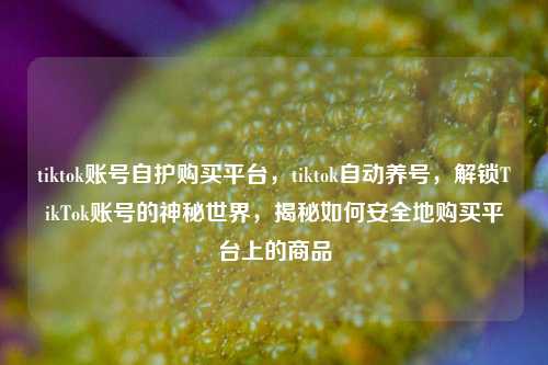 tiktok账号自护购买平台，tiktok自动养号，解锁TikTok账号的神秘世界，揭秘如何安全地购买平台上的商品