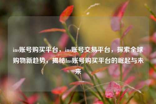 ins账号购买平台，ins账号交易平台，探索全球购物新趋势，揭秘Ins账号购买平台的崛起与未来