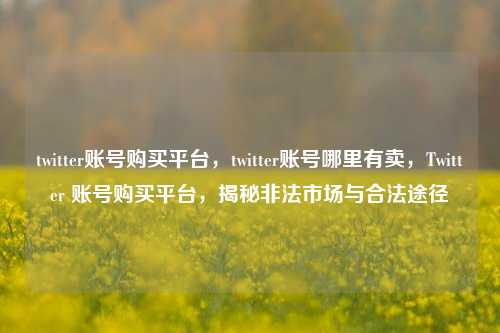 twitter账号购买平台，twitter账号哪里有卖，Twitter 账号购买平台，揭秘非法市场与合法途径