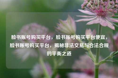 脸书账号购买平台，脸书账号购买平台便宜，脸书账号购买平台，揭秘非法交易与合法合规的平衡之道