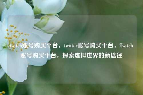twitch账号购买平台，twiiter账号购买平台，Twitch账号购买平台，探索虚拟世界的新途径
