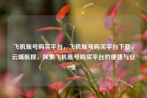 飞机账号购买平台，飞机账号购买平台下载，云端航程，探索飞机账号购买平台的便捷与安全