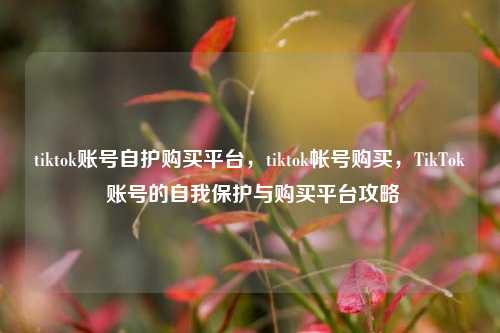 tiktok账号自护购买平台，tiktok帐号购买，TikTok 账号的自我保护与购买平台攻略