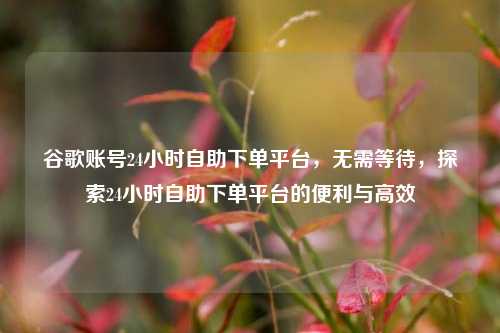 谷歌账号24小时自助下单平台，无需等待，探索24小时自助下单平台的便利与高效
