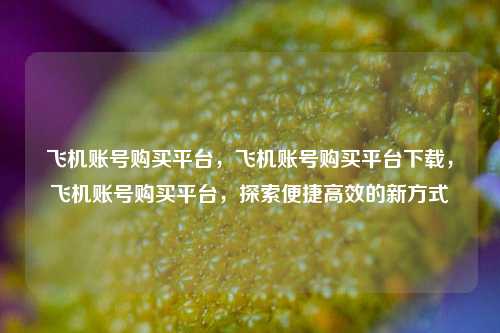 飞机账号购买平台，飞机账号购买平台下载，飞机账号购买平台，探索便捷高效的新方式