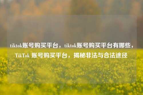 tiktok账号购买平台，tiktok账号购买平台有哪些，TikTok 账号购买平台，揭秘非法与合法途径