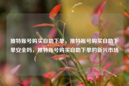 推特账号购买自助下单，推特账号购买自助下单安全吗，推特账号购买自助下单的新兴市场