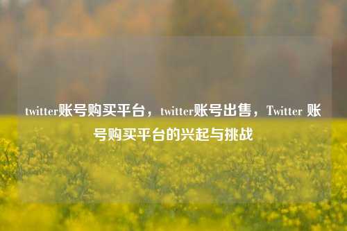 twitter账号购买平台，twitter账号出售，Twitter 账号购买平台的兴起与挑战