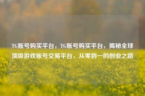 TG账号购买平台，TG账号购买平台，揭秘全球顶级游戏账号交易平台	，从零到一的创业之路  第1张