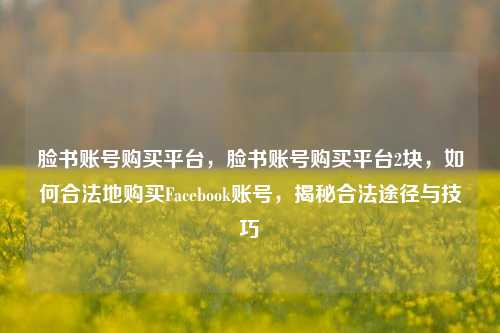 脸书账号购买平台，脸书账号购买平台2块，如何合法地购买Facebook账号，揭秘合法途径与技巧