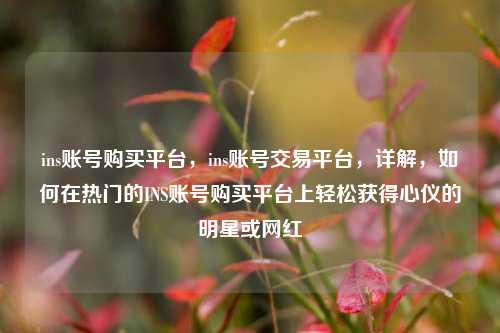 ins账号购买平台，ins账号交易平台，详解，如何在热门的INS账号购买平台上轻松获得心仪的明星或网红