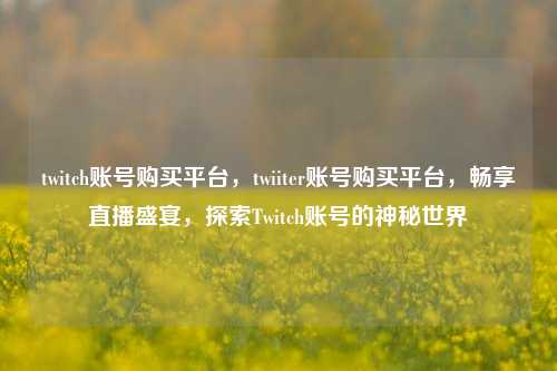twitch账号购买平台，twiiter账号购买平台，畅享直播盛宴，探索Twitch账号的神秘世界