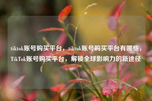 tiktok账号购买平台，tiktok账号购买平台有哪些，TikTok账号购买平台，解锁全球影响力的新途径  第1张