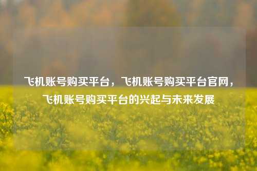 飞机账号购买平台，飞机账号购买平台官网，飞机账号购买平台的兴起与未来发展