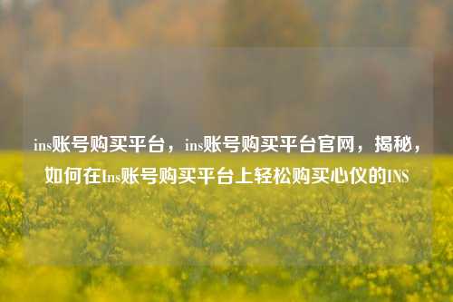 ins账号购买平台，ins账号购买平台官网，揭秘，如何在Ins账号购买平台上轻松购买心仪的INS